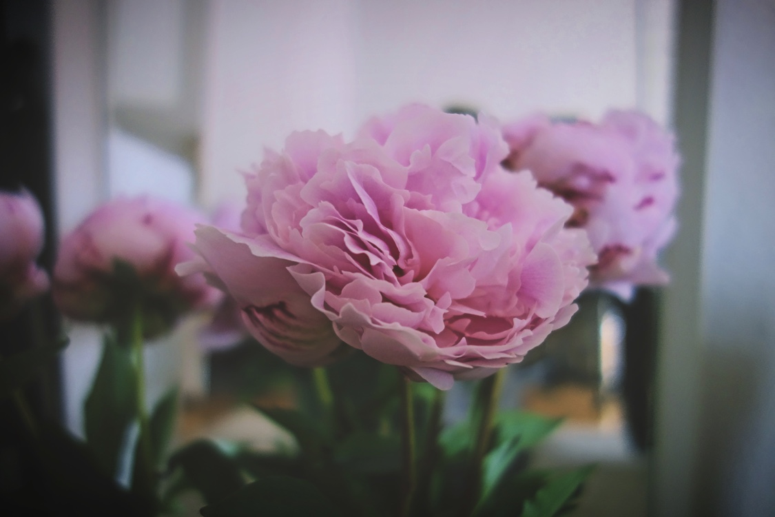 Image 2016-06-28 at 12.32 (1)