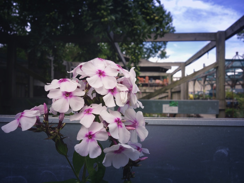 Image 2016-08-13 at 16.24