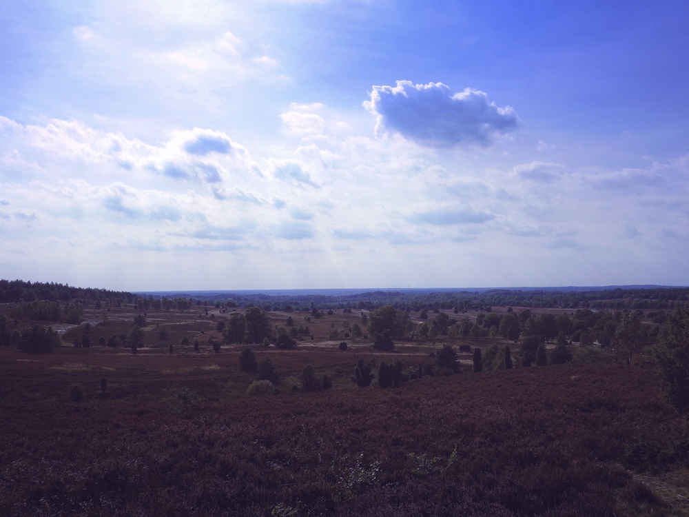 Landskapet Lüneburger Heide