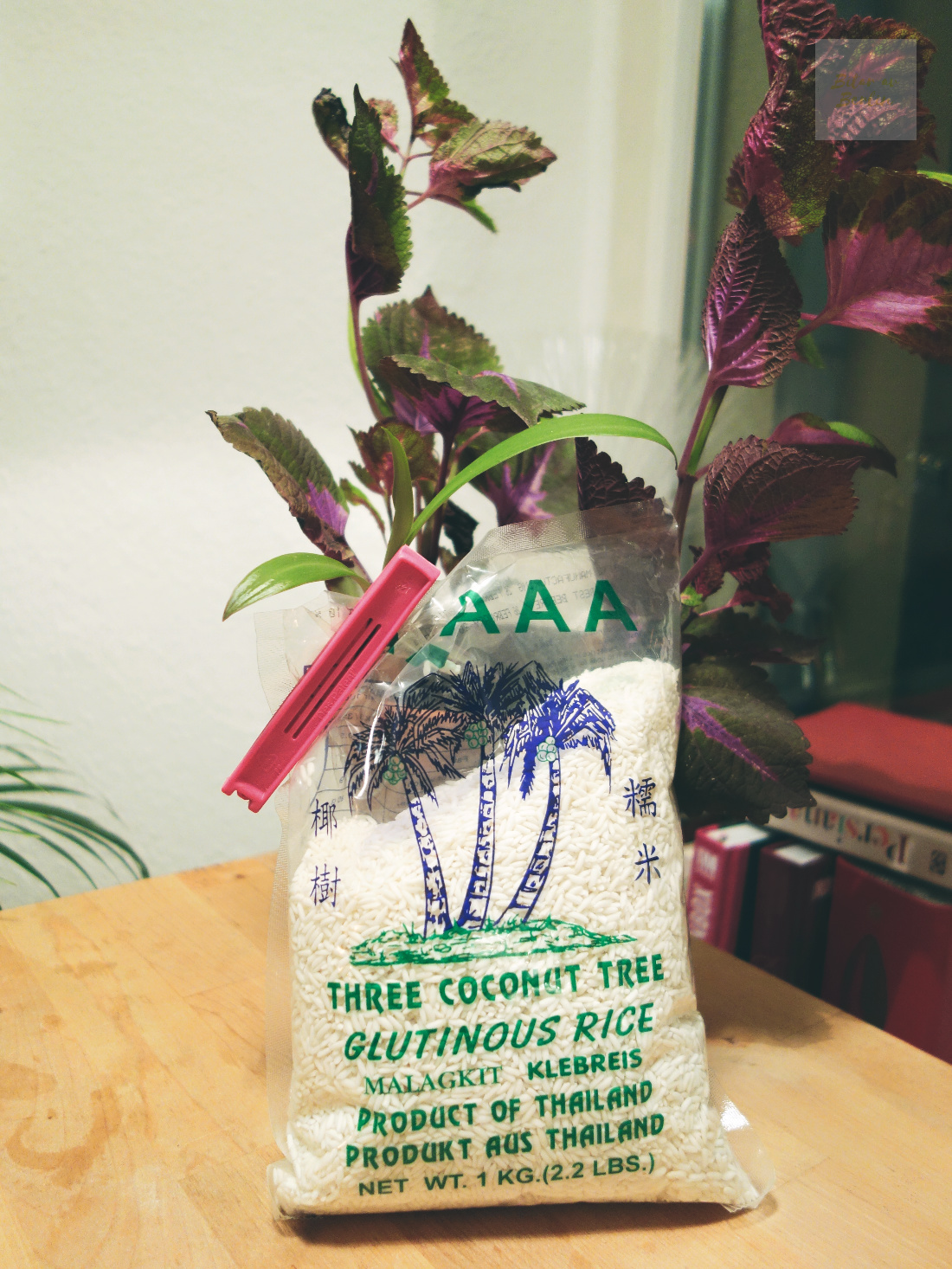 Klibbris och palettblad