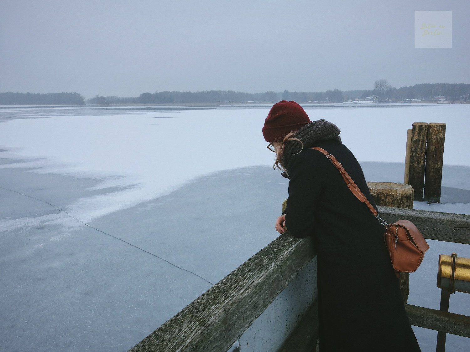 Rheinsberg-titta-ut-över-sjön