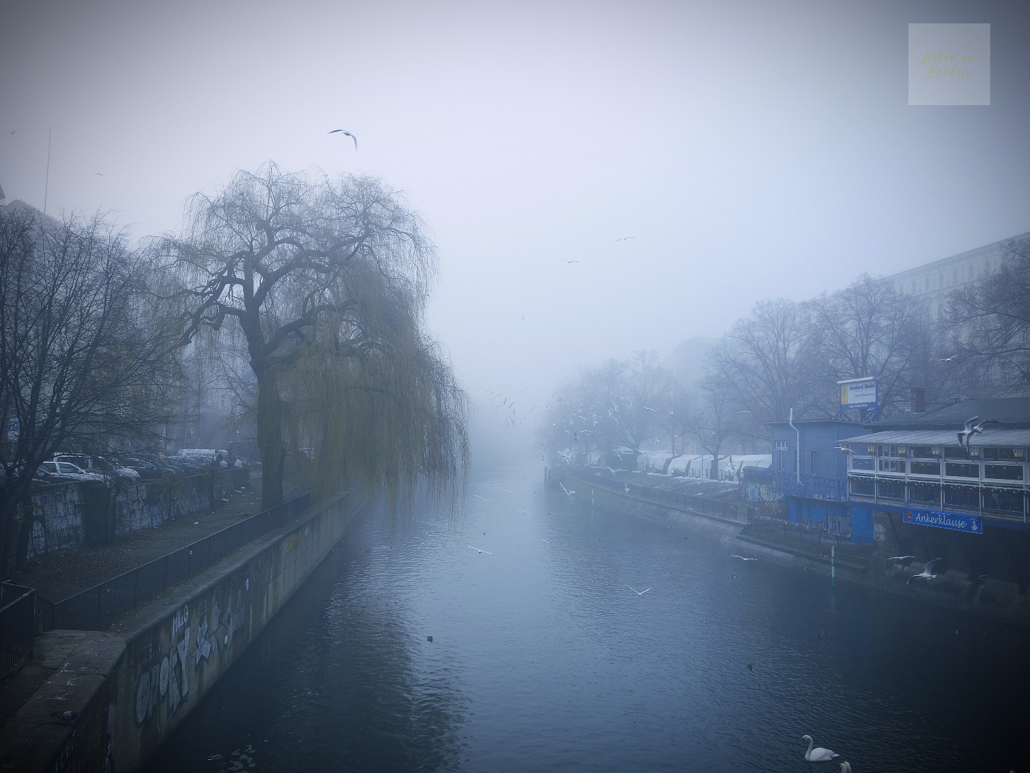 Dimma över Landwehrkanal