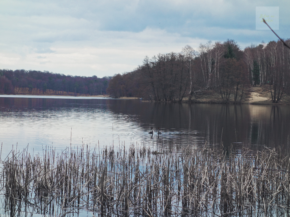 Bitar av Berlin - Liepnitzsee