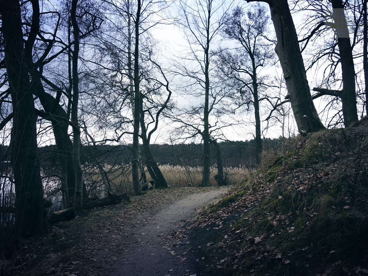 Vandringsled vid Liepnitzsee