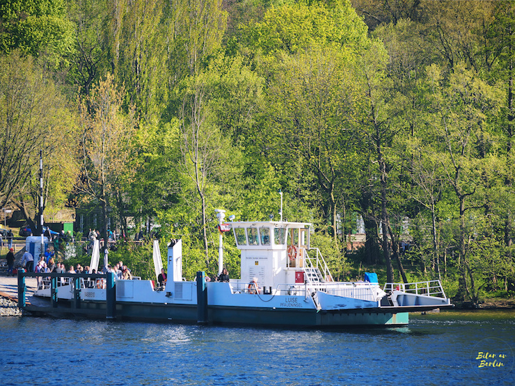 Färjan på Pfaueninsel