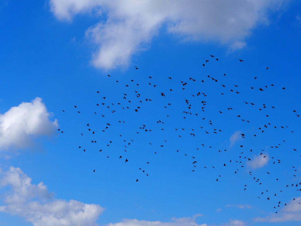 Och så även&nbsp;jag