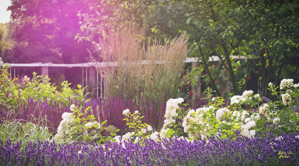 Något fint som alla kunde ta del&nbsp;av