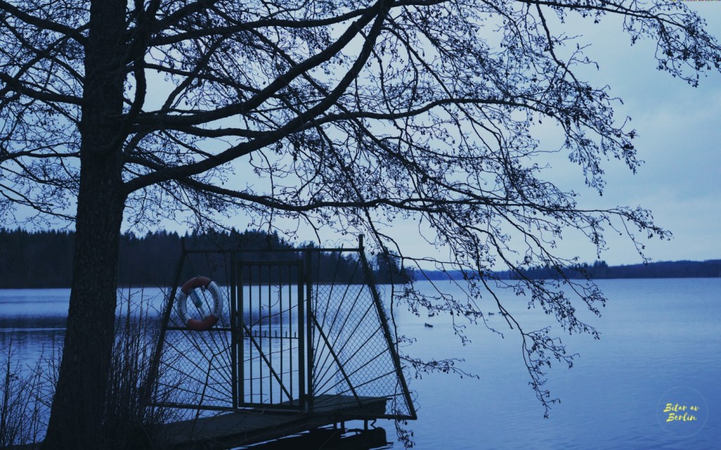 Några bilder från&nbsp;julledigheten