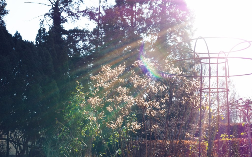 Utflyktstips: Königliche Gartenakademie