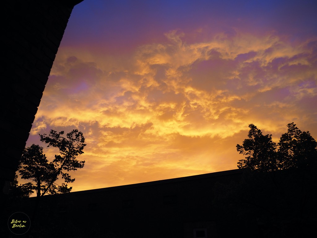 Här igen – kvällstankar från en&nbsp;balkong